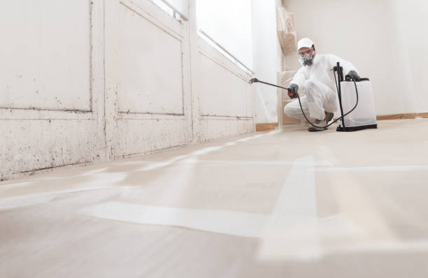 24/7 Emergency Basement Mold Remediation experts in Clarksville, TX