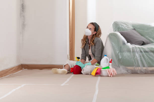 Trusted Basement Mold Remediation service in Clarksville, TX - Cheap Mold Removal